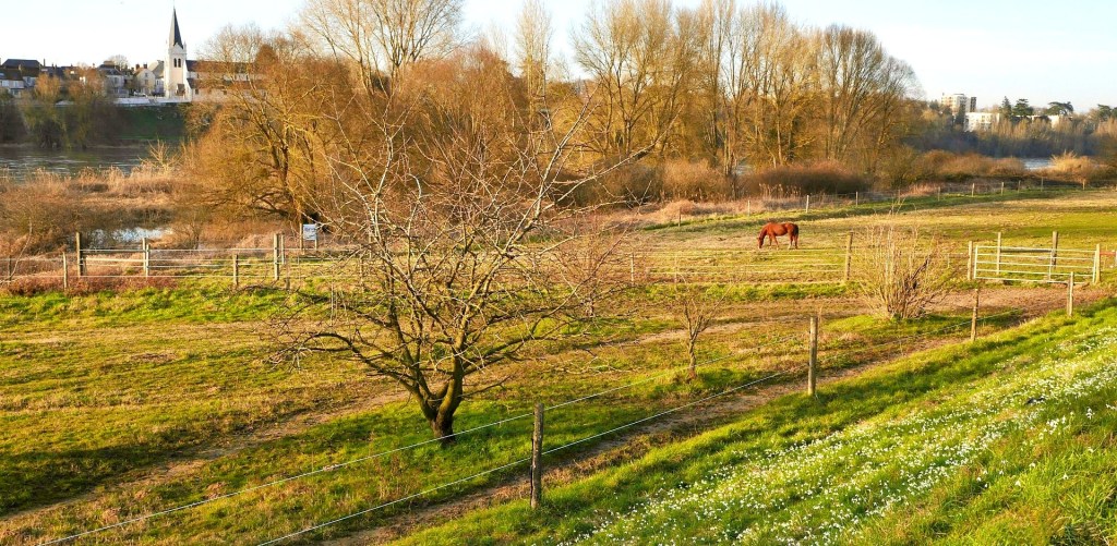 Vers la Croix De Micy