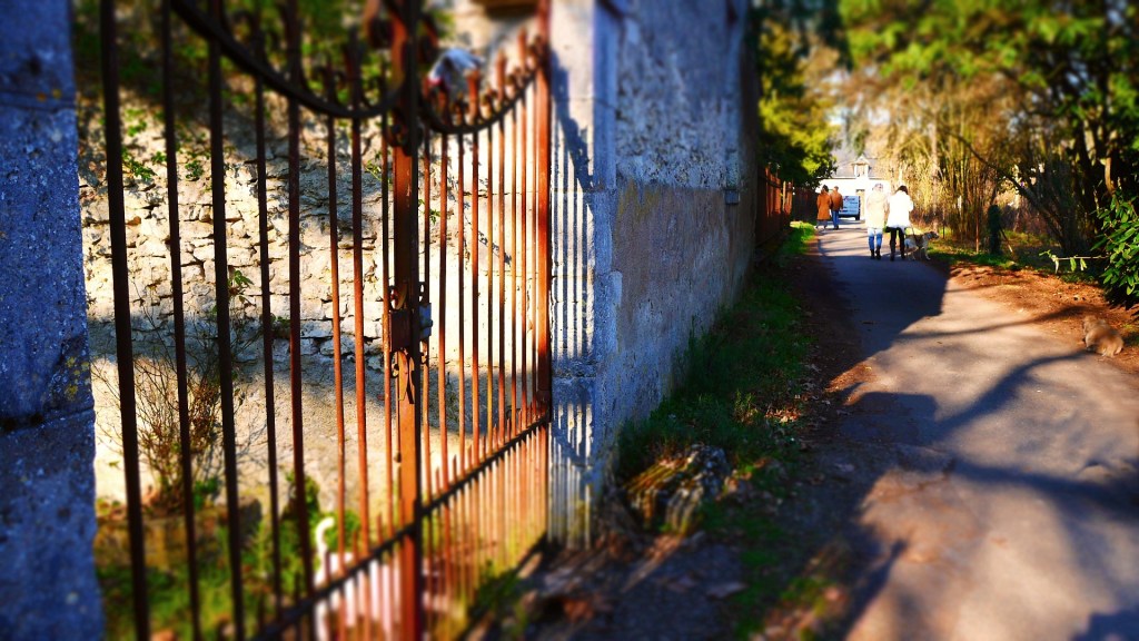 Promenade des mauves à Meung-sur-loire –&nbsp;n°1