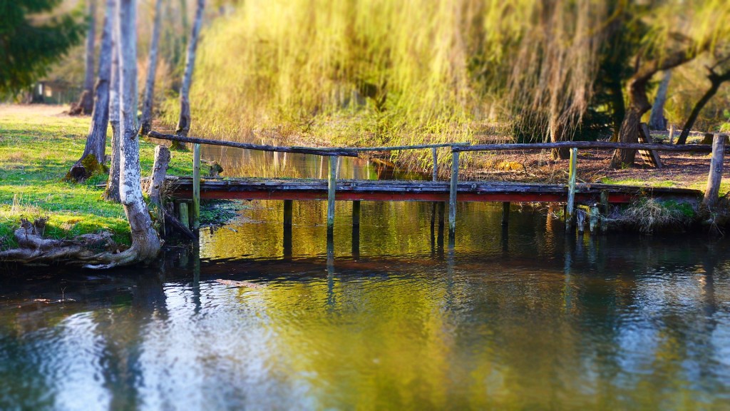 Promenade des mauves à Meung-sur-loire –&nbsp;n°2