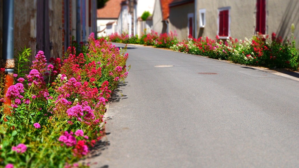 Balade au bord du Loiret vers Saint-Hilaire-Saint-Mesmin.