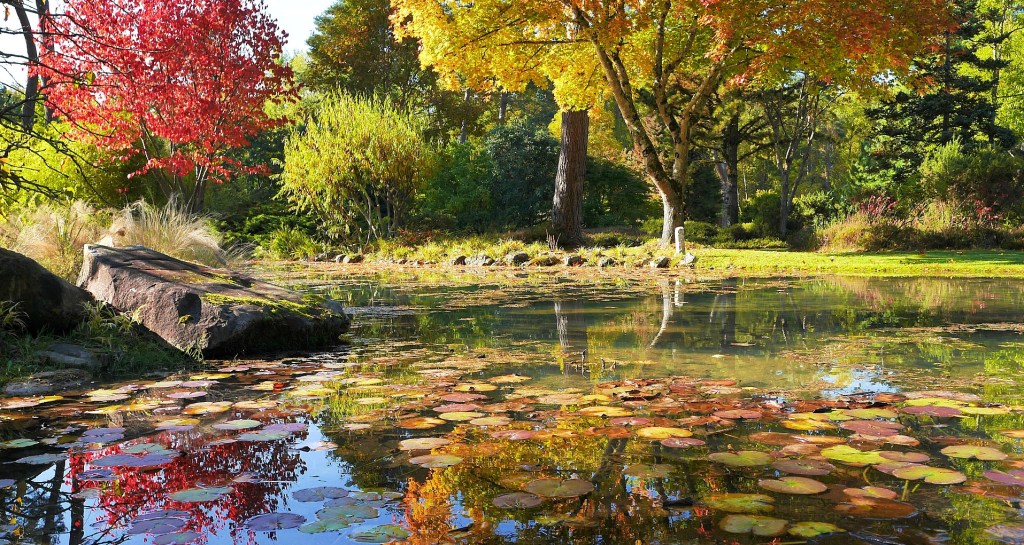 Balade &laquo;&nbsp;zen&nbsp;&raquo; à l&rsquo;Arboretum des Grandes&nbsp;Bruyères