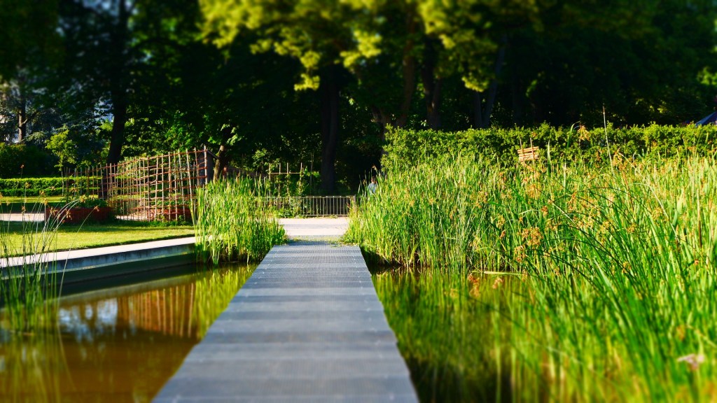 Balade au Jardin des plantes d’Orléans (partie&nbsp;2)