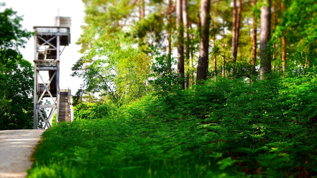 Balade en forêt d&rsquo;Orléans… au Belvédère des&nbsp;Caillettes