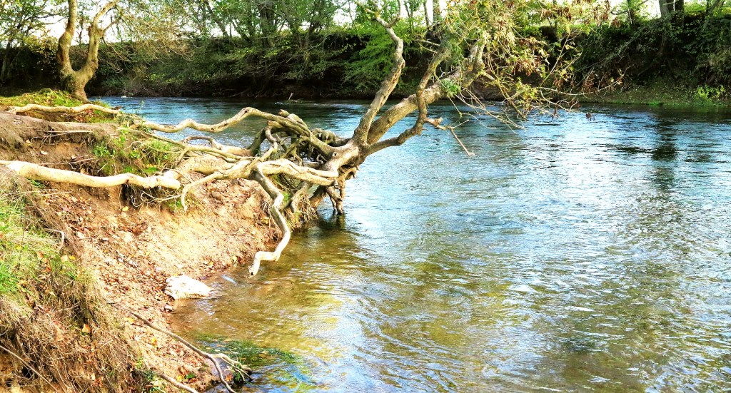 Balade en vélo à la pointe de Courpin&nbsp;(vidéo)