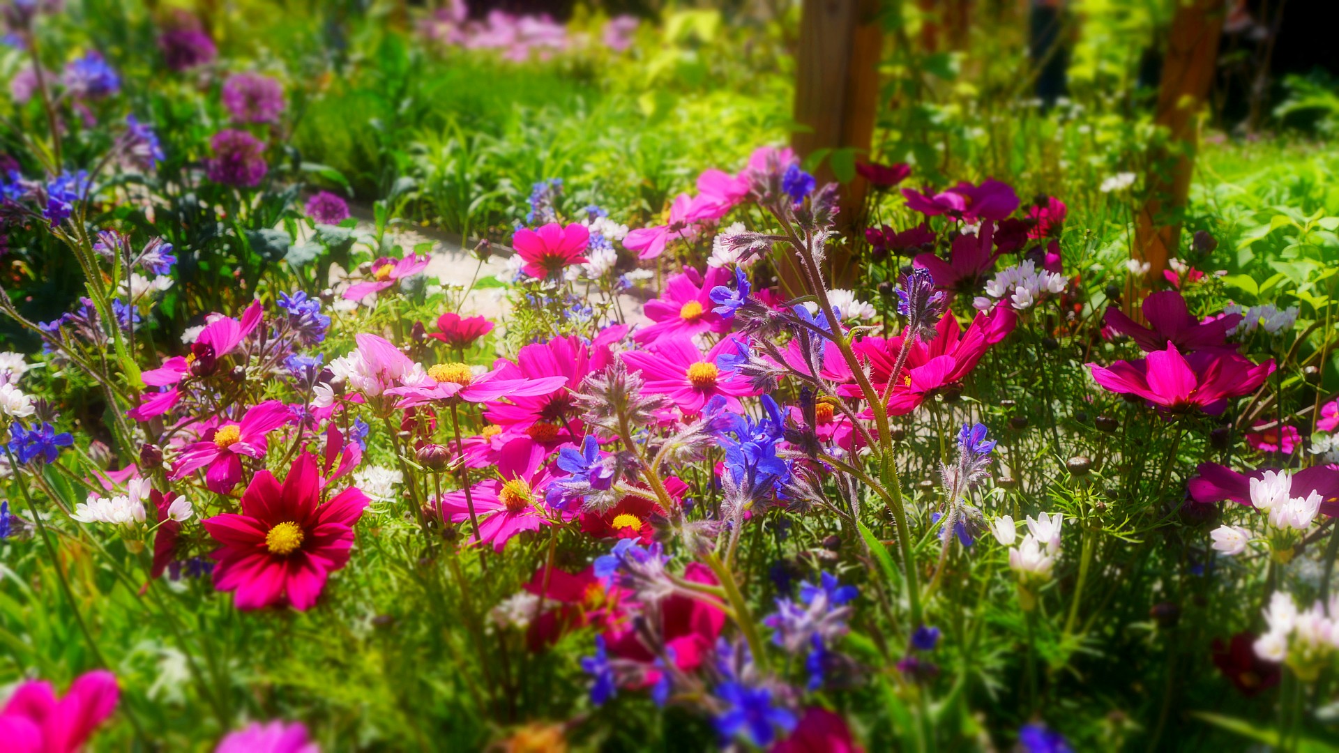 Secret Garden (photos et une vidéo de 3mn) partie 1