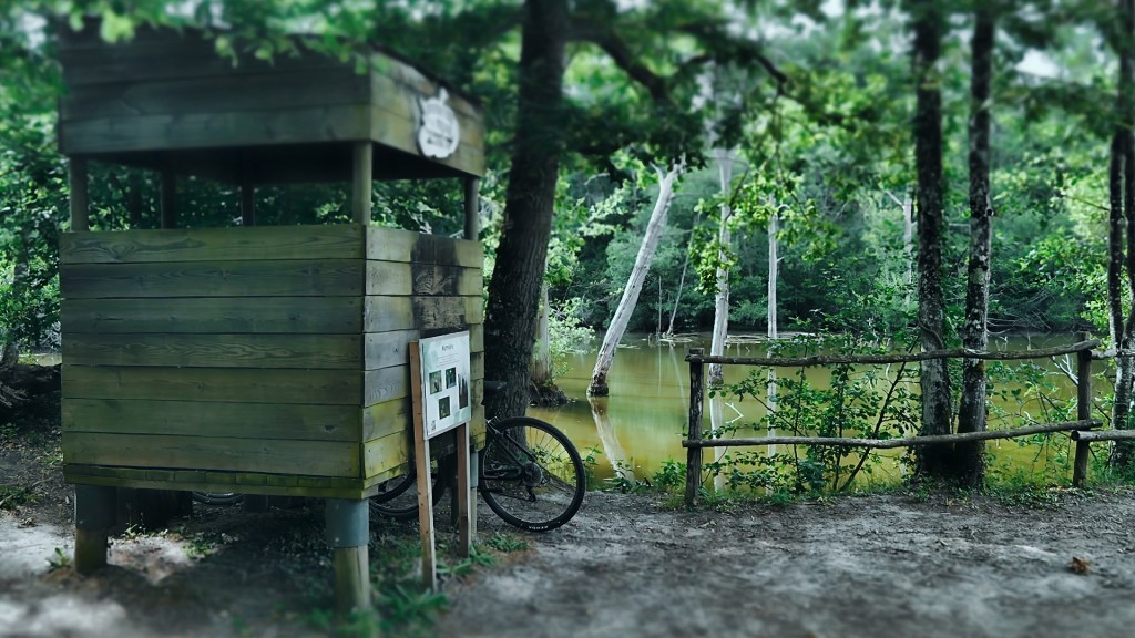 Balade au Parc du Domaine de Morchêne (photos et une vidéo)