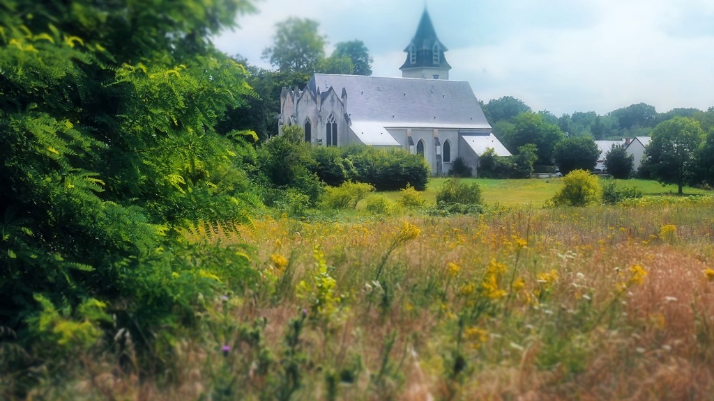 Très courte balade du coté de Mézières-lez-Cléry