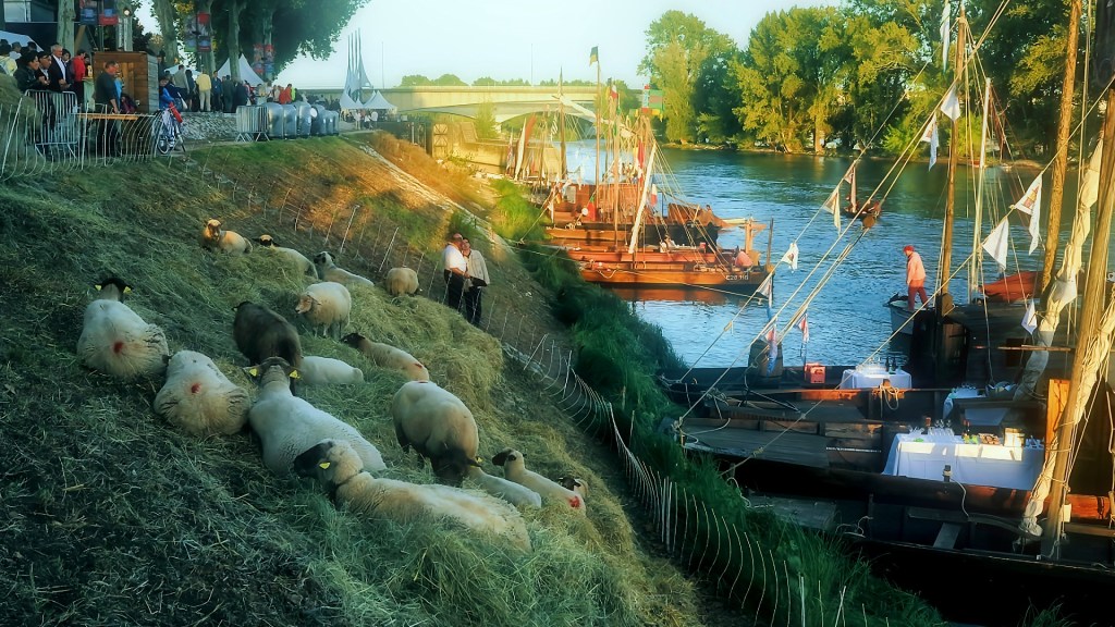 Au fil de l&rsquo;eau (vidéo Festival de Loire&nbsp;2013)