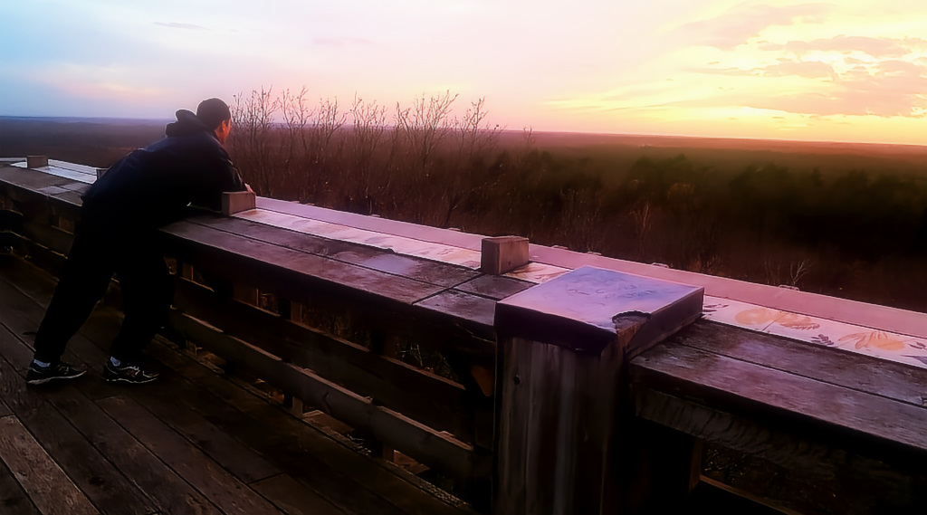 Balade (vidéo) en forêt d’Orléans… au Belvédère des Caillettes (archive&nbsp;2012)