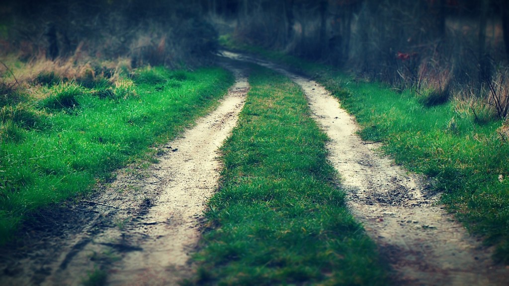 Forest for Ever – Forêt pour Toujours (winter/hiver) vidéo et&nbsp;photos