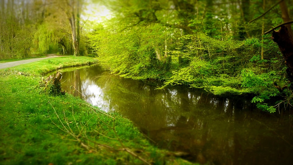 Balade au bord des Mauves, un dimanche après-midi sans soleil… (vidéo +&nbsp;photos)