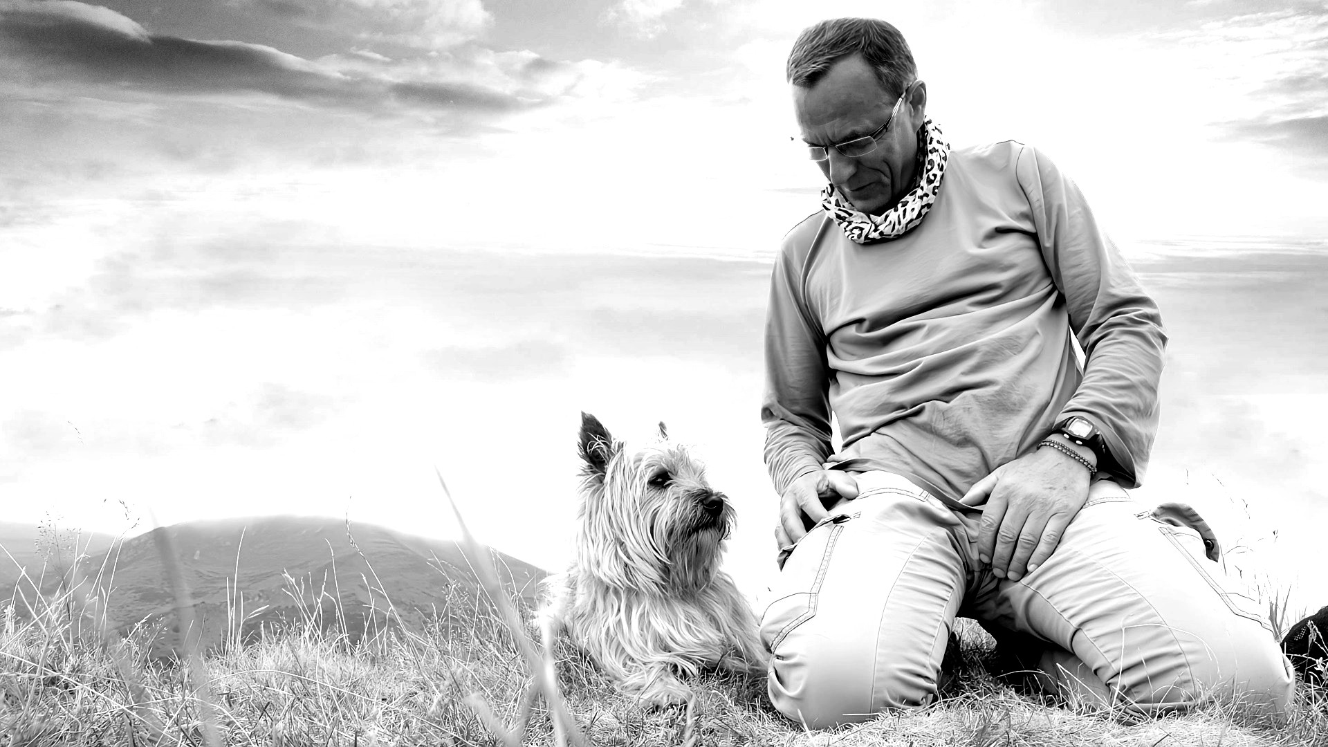 Cléo Petit Cairn Terrier… 13 ans de bonheur !