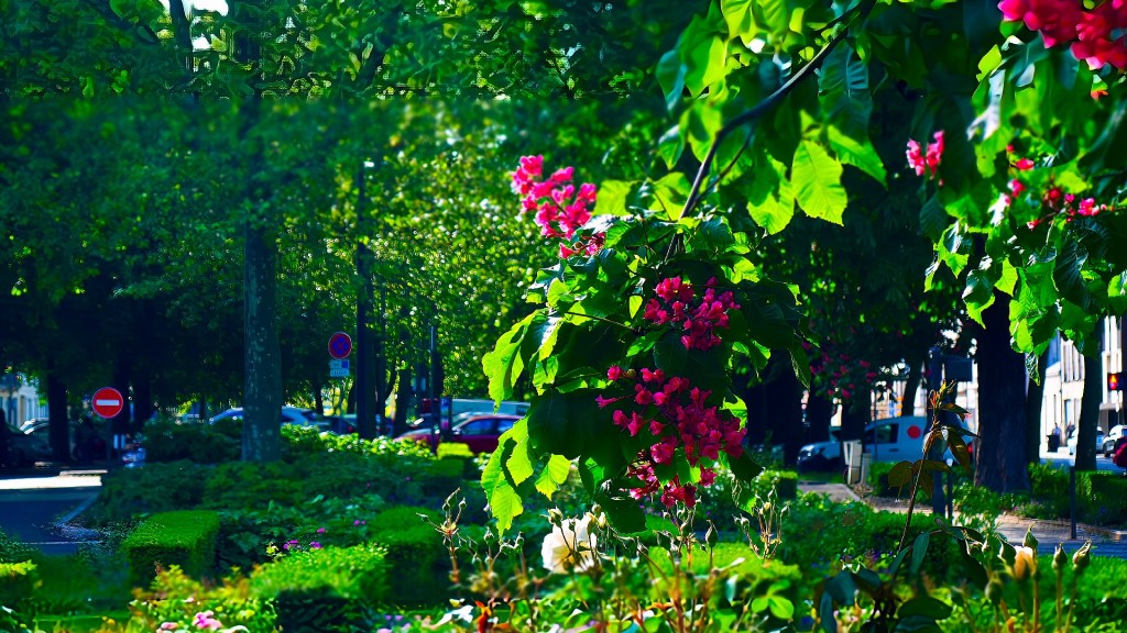 Exploration en Musique (avec Brad Mehldau) et en Images des Boulevards&nbsp;d&rsquo;Orléans