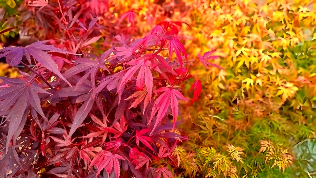 Garden Life (part&nbsp;2)