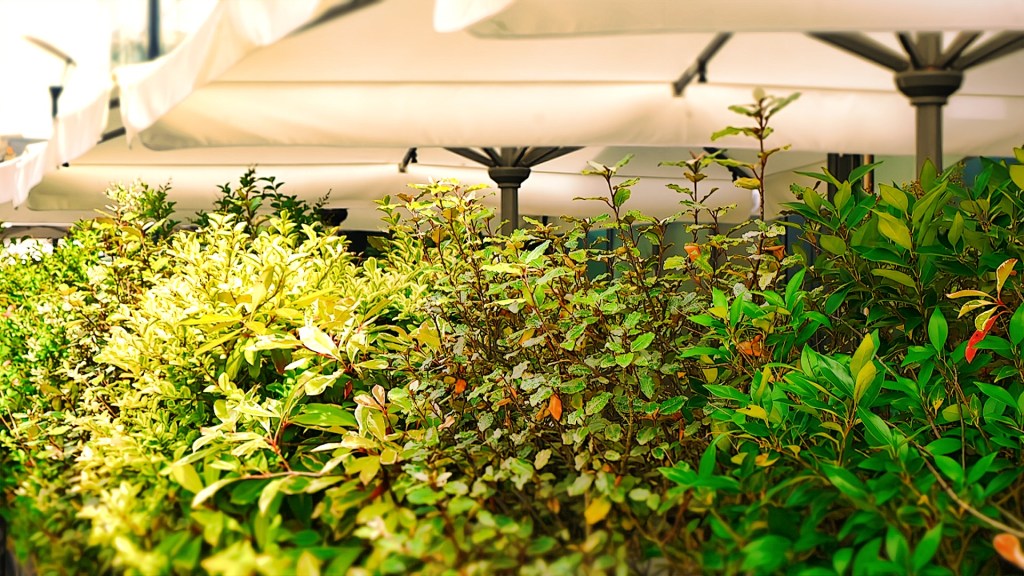 21 juillet 2024, Orléans est sous les parasols et danse la Bachata ! (un après-midi de dimanche&nbsp;ordinaire)