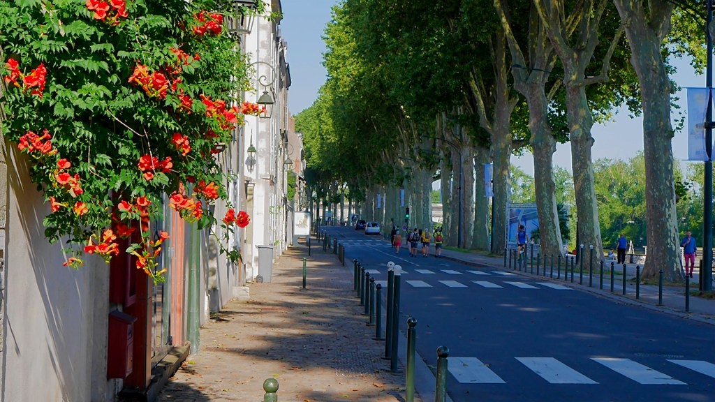 Vu du Quai (un dimanche&nbsp;après-midi)