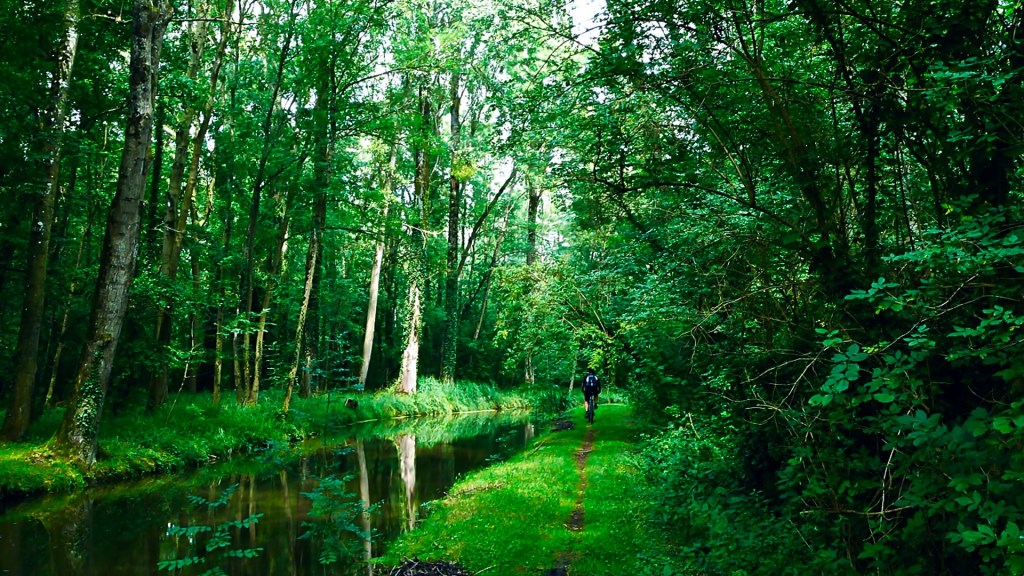 Une balade à vélo au bord des Mauves… il y a dix&nbsp;ans