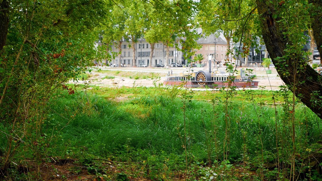 Je me suis mis au vert au bord de la Loire (une vidéo et des&nbsp;photos)
