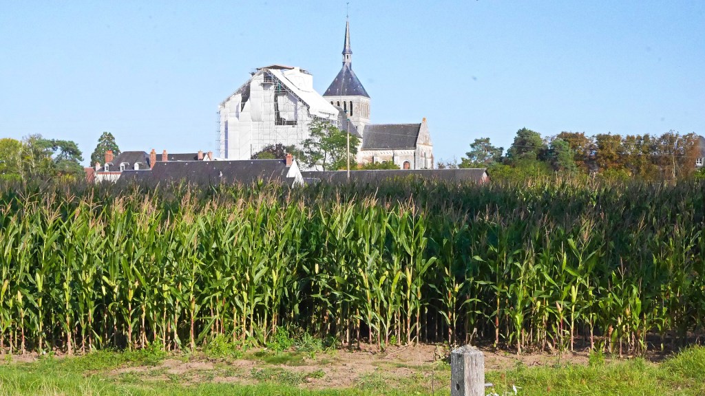 Balade aux alentours de la l&rsquo;Abbaye de Saint-Benoît-sur-Loire en cours de&nbsp;restauration