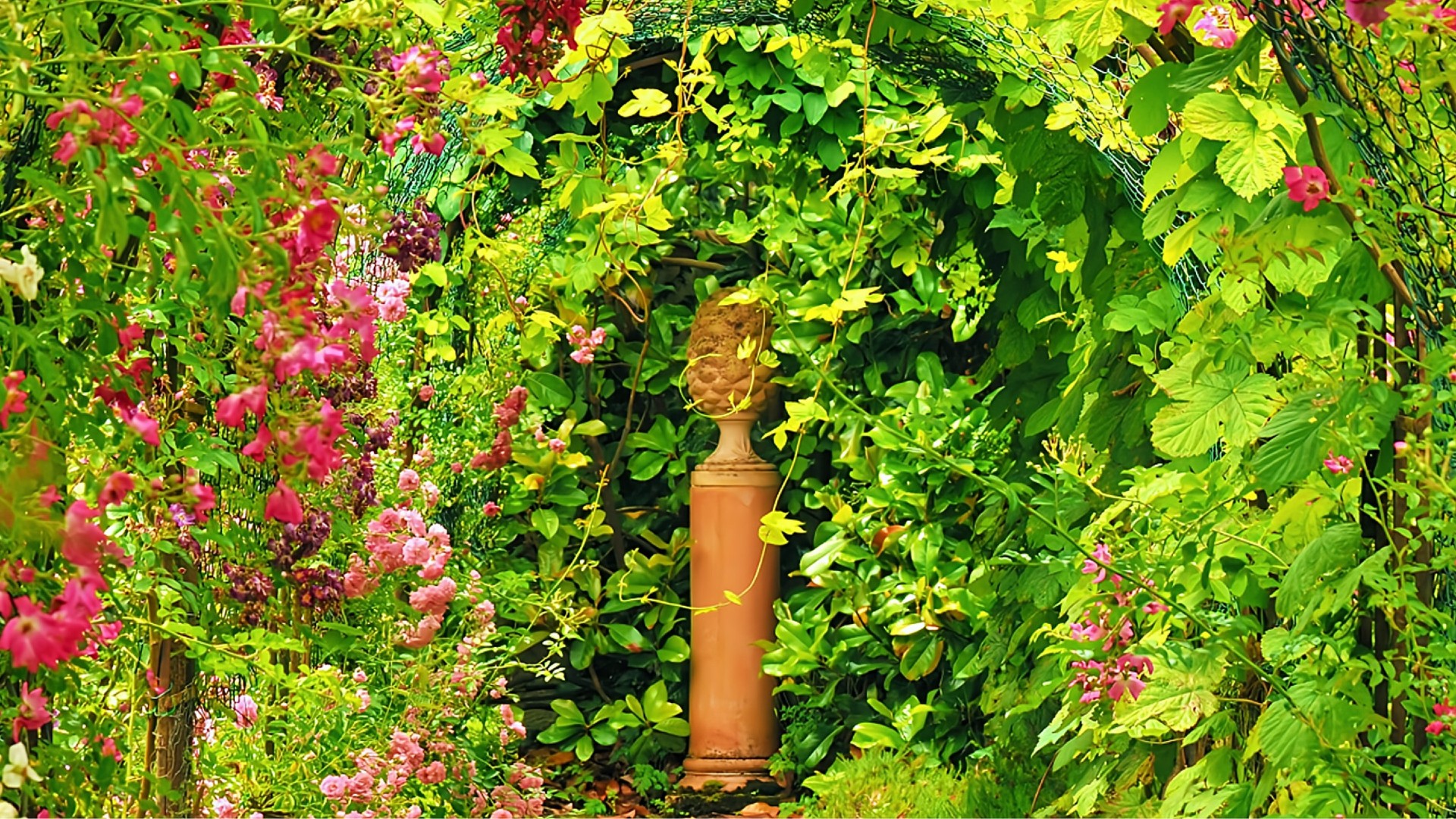 ARBORETUM (1 vidéo + des photos)