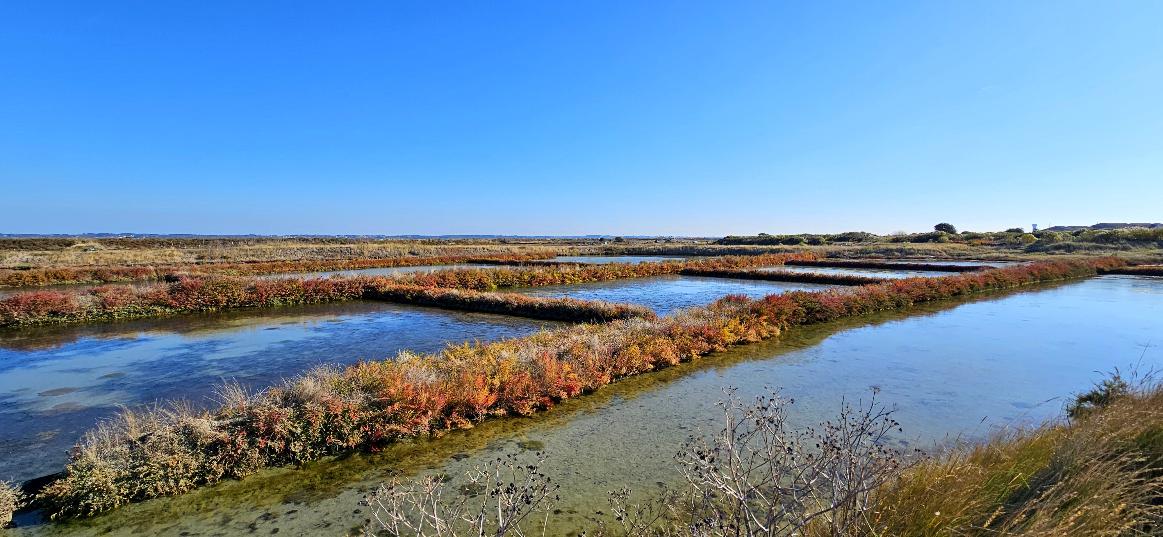 Regards Croisés n°3, Marais Salants de Guérande