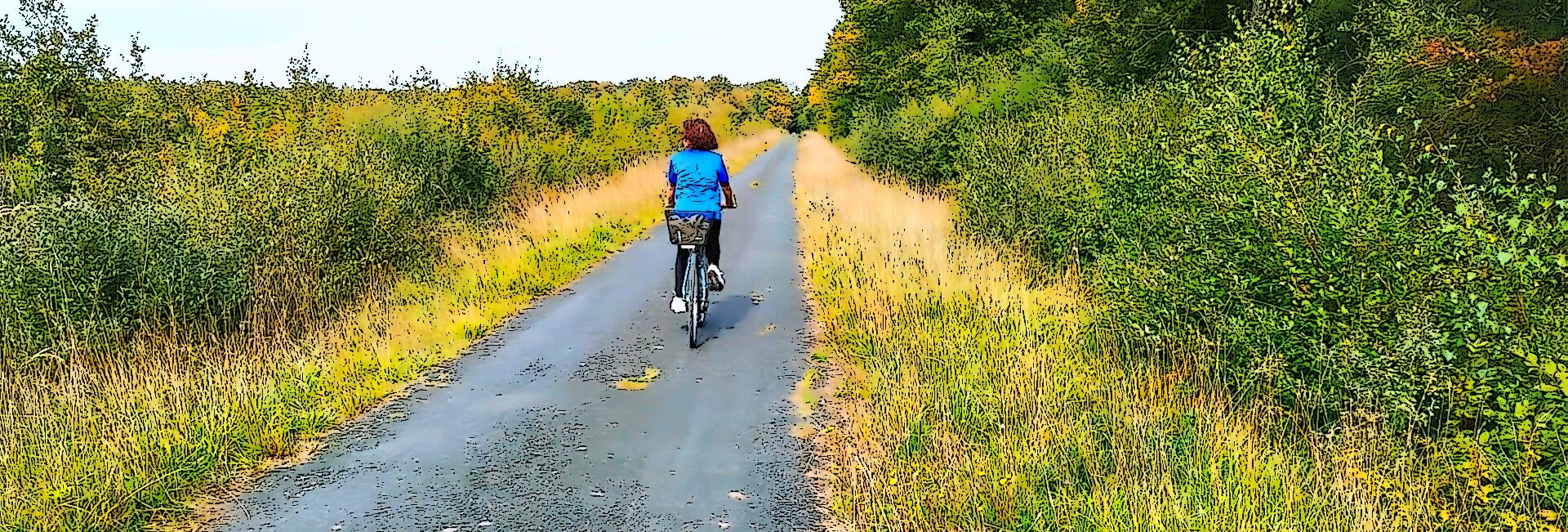 VTT, Bougy-lez-Neuville par la forêt (vidéo + photos)