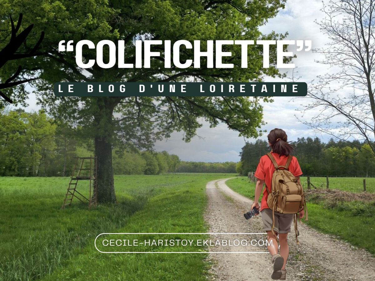 Rando &laquo;&nbsp;Chemin de l&rsquo;Arboretum&nbsp;&raquo;, à Ingrannes sur le site de Cécile&nbsp;Haristoy