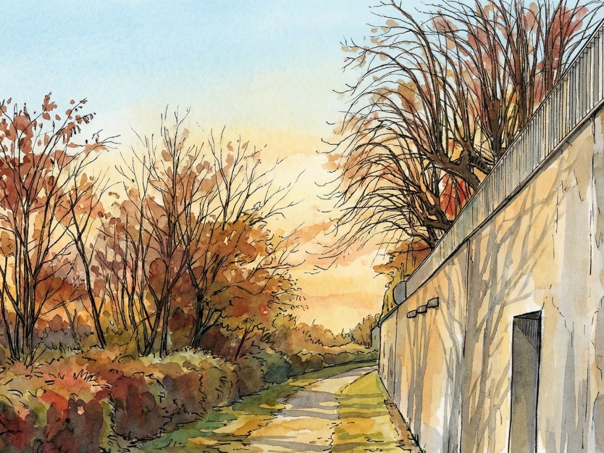 Le Chemin de la CHAPELLE (La Chapelle-Saint-Mesmin)