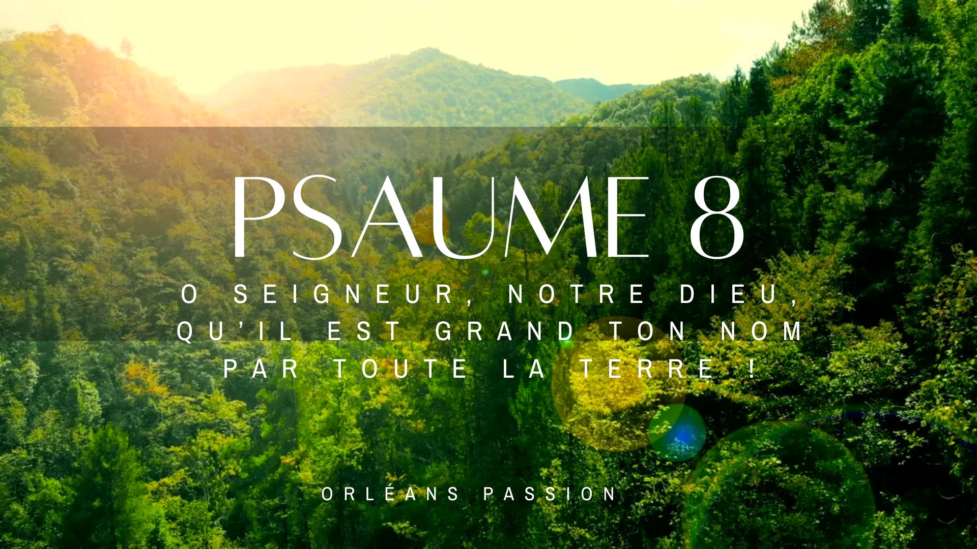 PSAUME 8